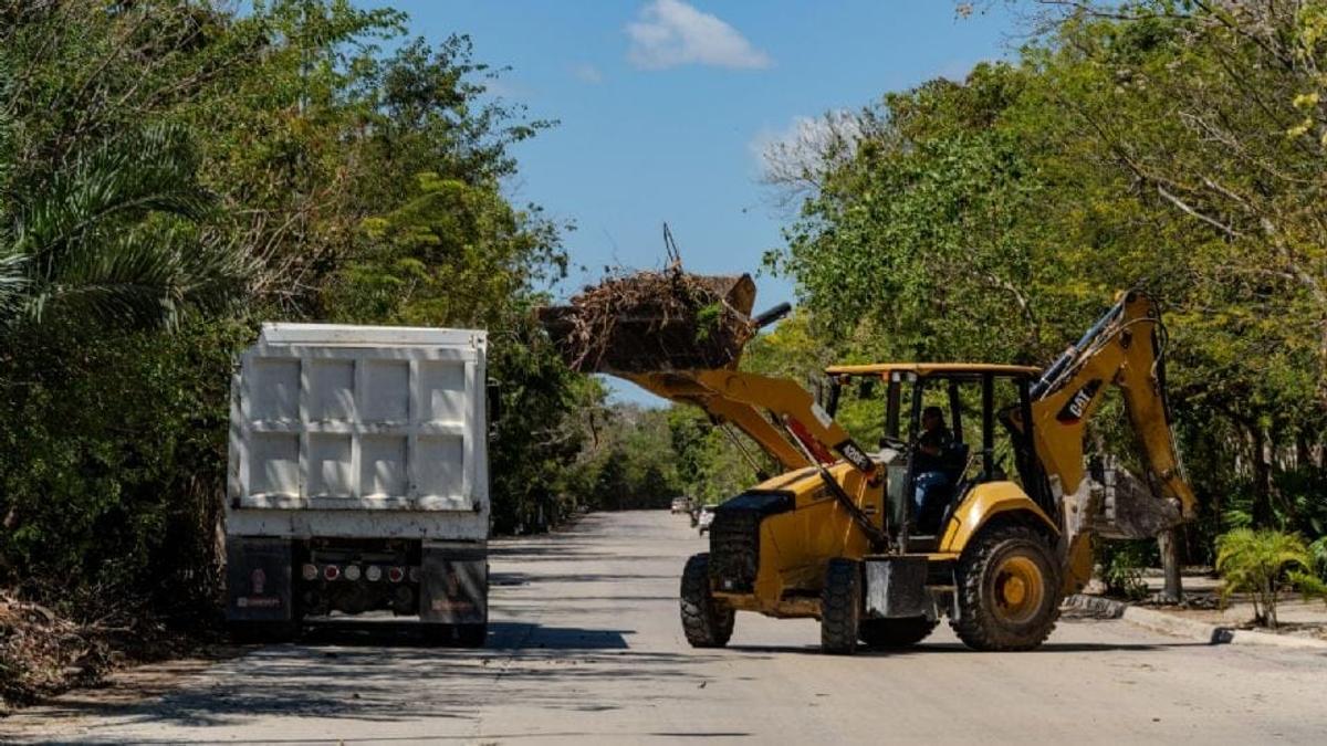 Tulum’s Urban Renewal Efforts Gain Momentum Through Community Brigades Tulum’s Urban Renewal Efforts Gain Momentum Through Community Brigades