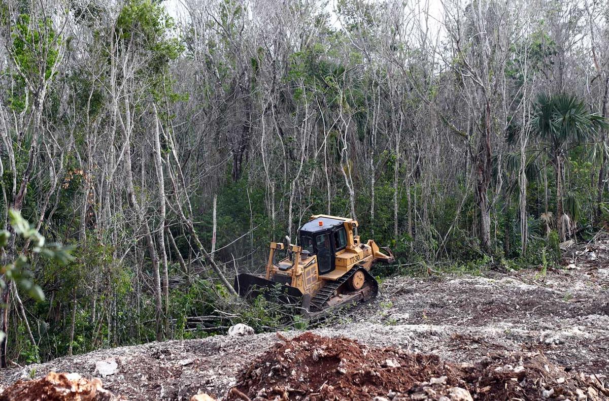 Tren Maya Expansion Risks Repeat Environmental Harm in New Zone Tren Maya Expansion Risks Repeat Environmental Harm in New Zone
