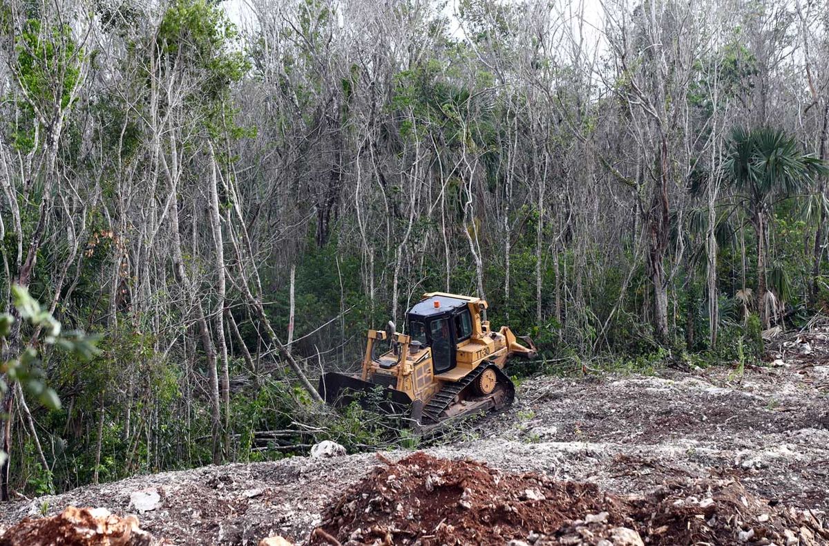 Tren Maya Expansion Risks Repeat Environmental Harm in New Zone
