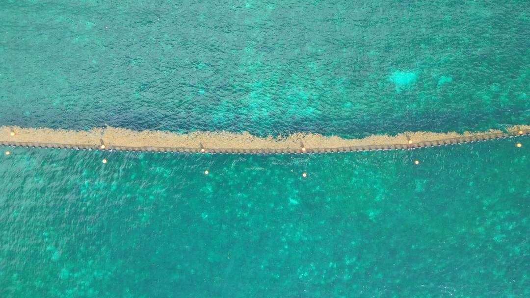 Mexican Caribbean Launches Major Sargassum Cleanup Initiative