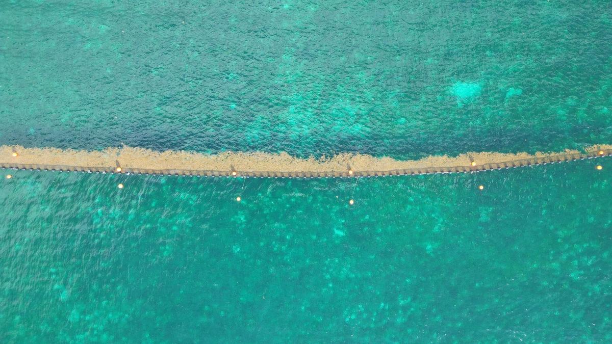 Mexican Caribbean Launches Major Sargassum Cleanup Initiative Mexican Caribbean Launches Major Sargassum Cleanup Initiative