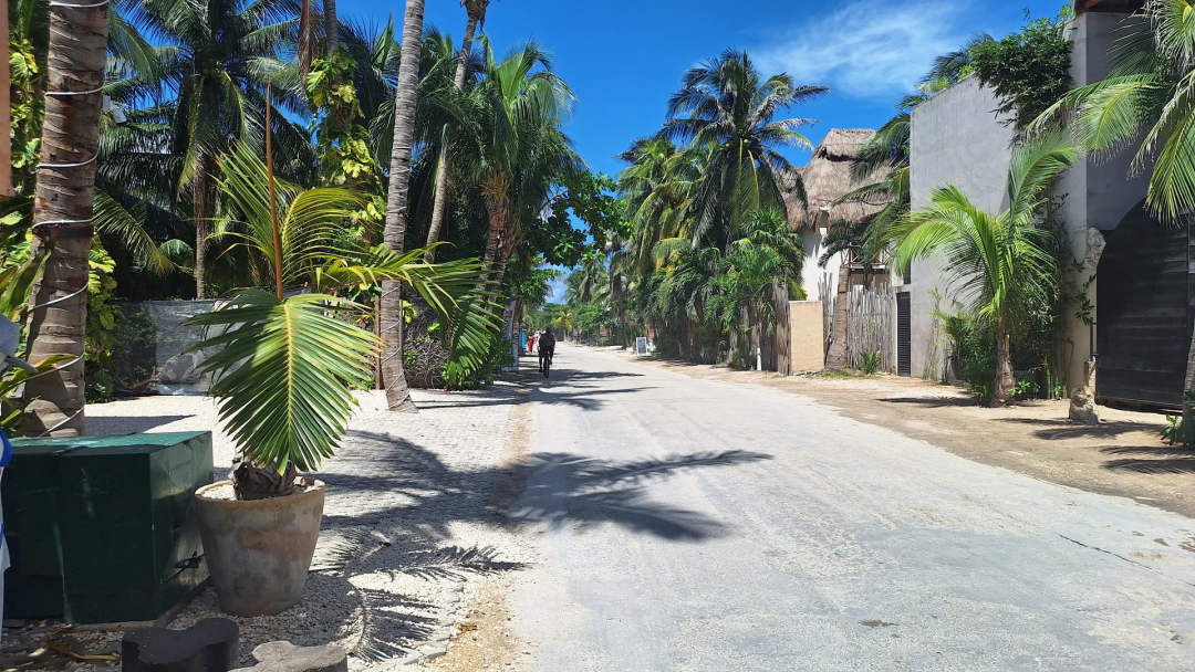 Tulum Launches Road Projects to Boost Traffic Efficiency