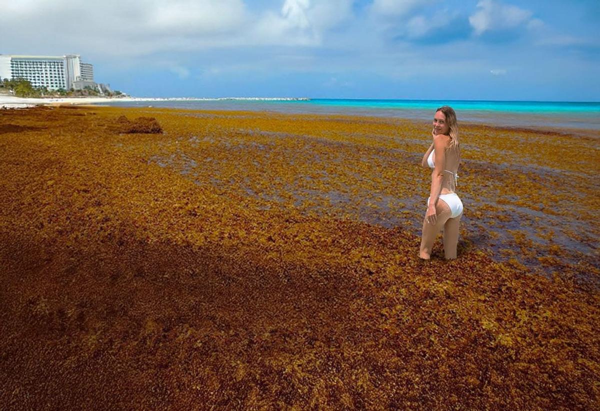 How Riviera Maya is battling 2025’s worst sargassum wave How Riviera Maya is battling 2025’s worst sargassum wave