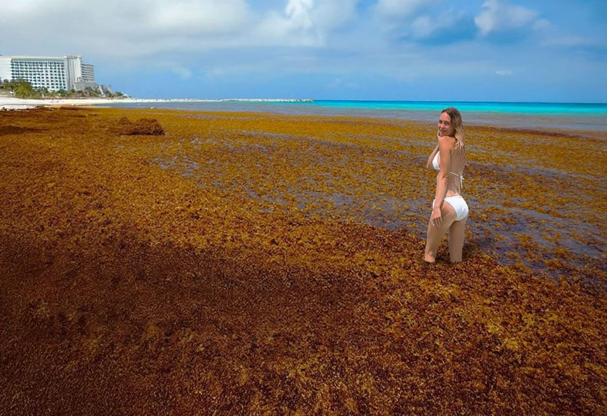 How Riviera Maya is battling 2025’s worst sargassum wave