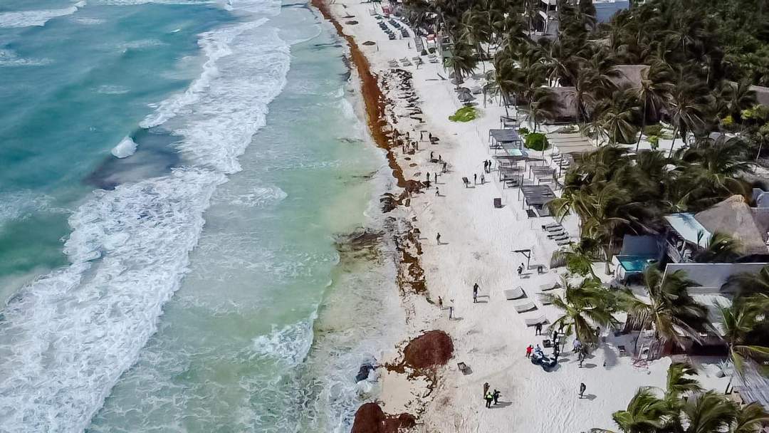 Urgent Plan Needed to Revive Tulum Tourism