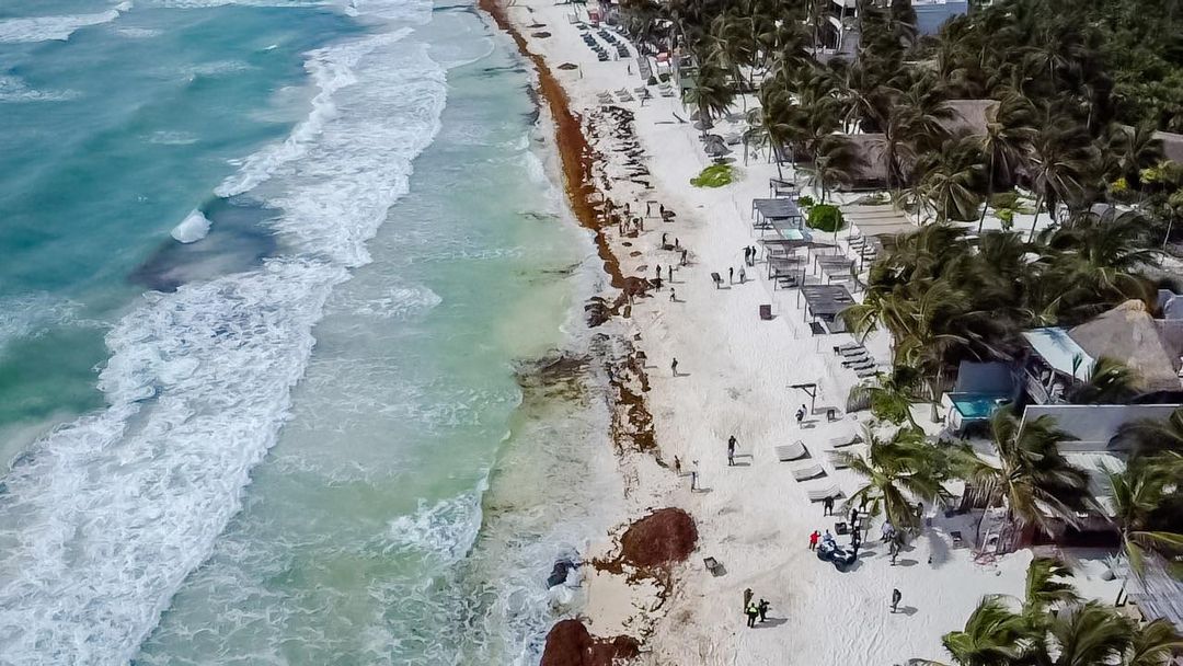 Urgent Plan Needed to Revive Tulum Tourism