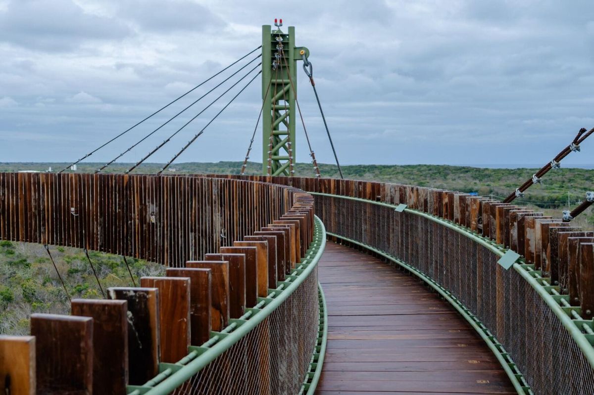 Tulum’s Parque Del Jaguar invites travelers to walk with purpose