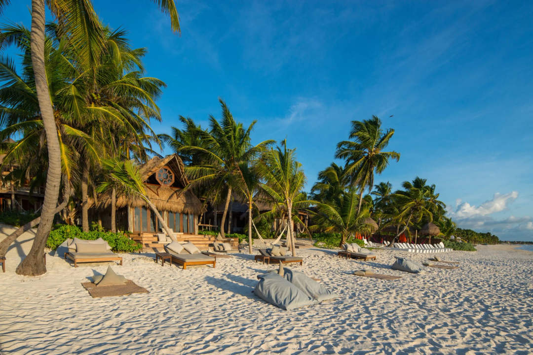 World Oceans Day ignites climate action in Tulum