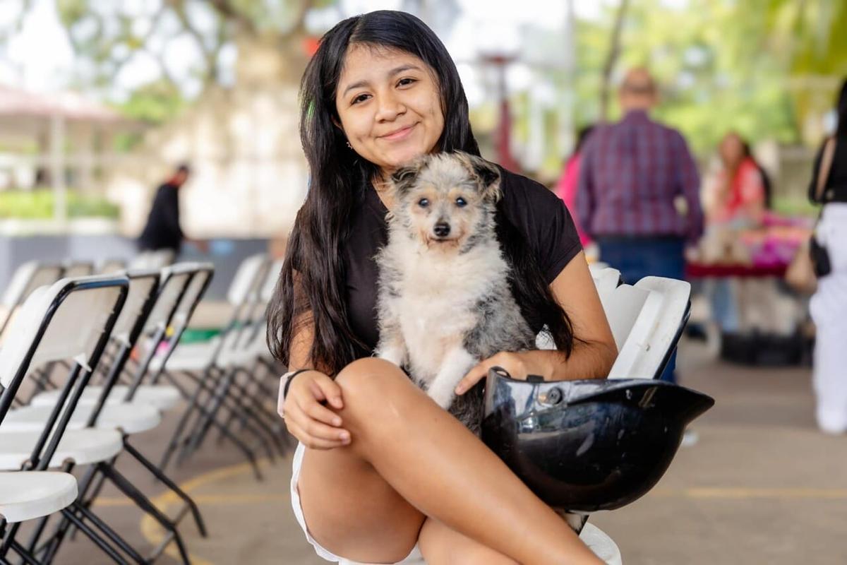 Tulum Unveils Hurricane Plan to Shield Families and Pets Tulum Unveils Hurricane Plan to Shield Families and Pets