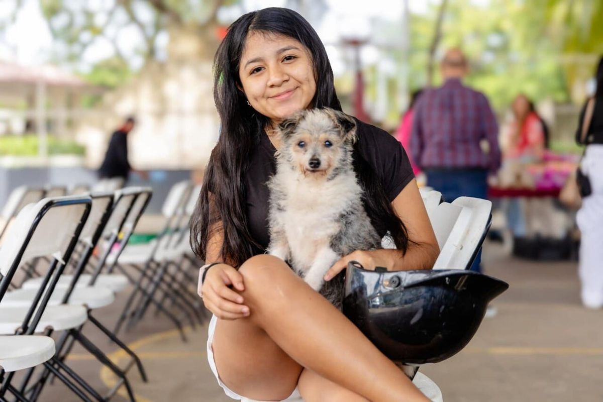 Tulum Unveils Hurricane Plan to Shield Families and Pets