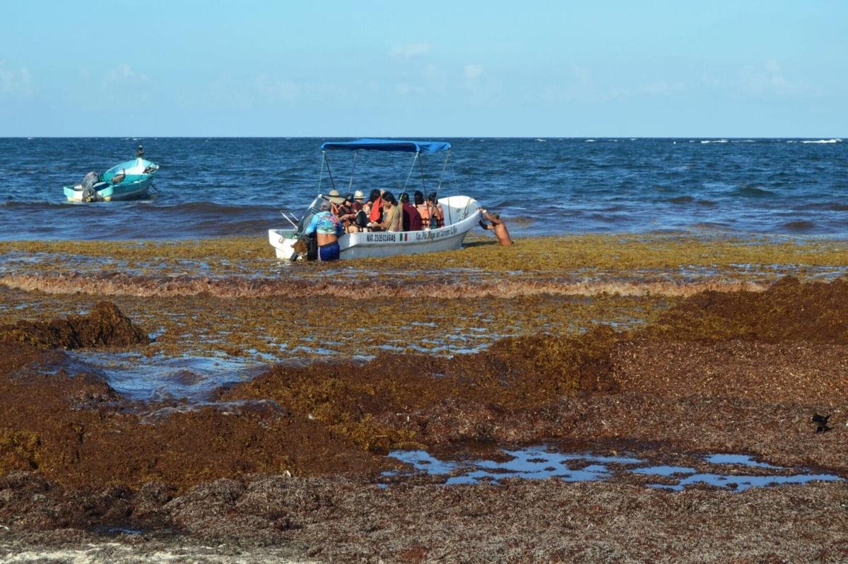 Harness Tourism Revenue to Battle Sargassum Invasion Harness Tourism Revenue to Battle Sargassum Invasion