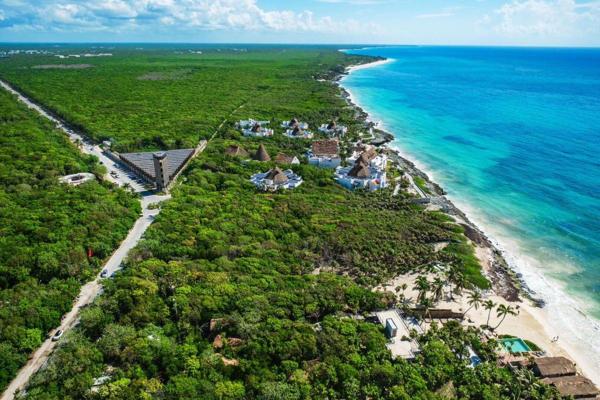 CONANP empowers Tulum communities to protect the jungle with smart technology