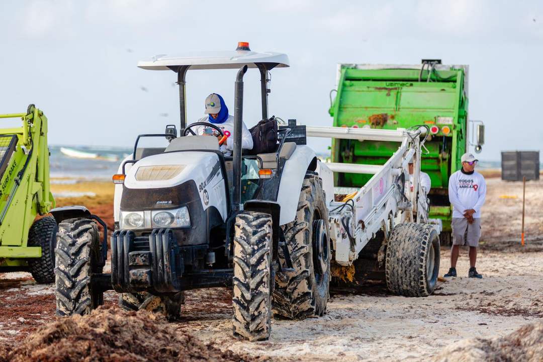 Inside Tulum’s War Against Record Sargassum Invasion