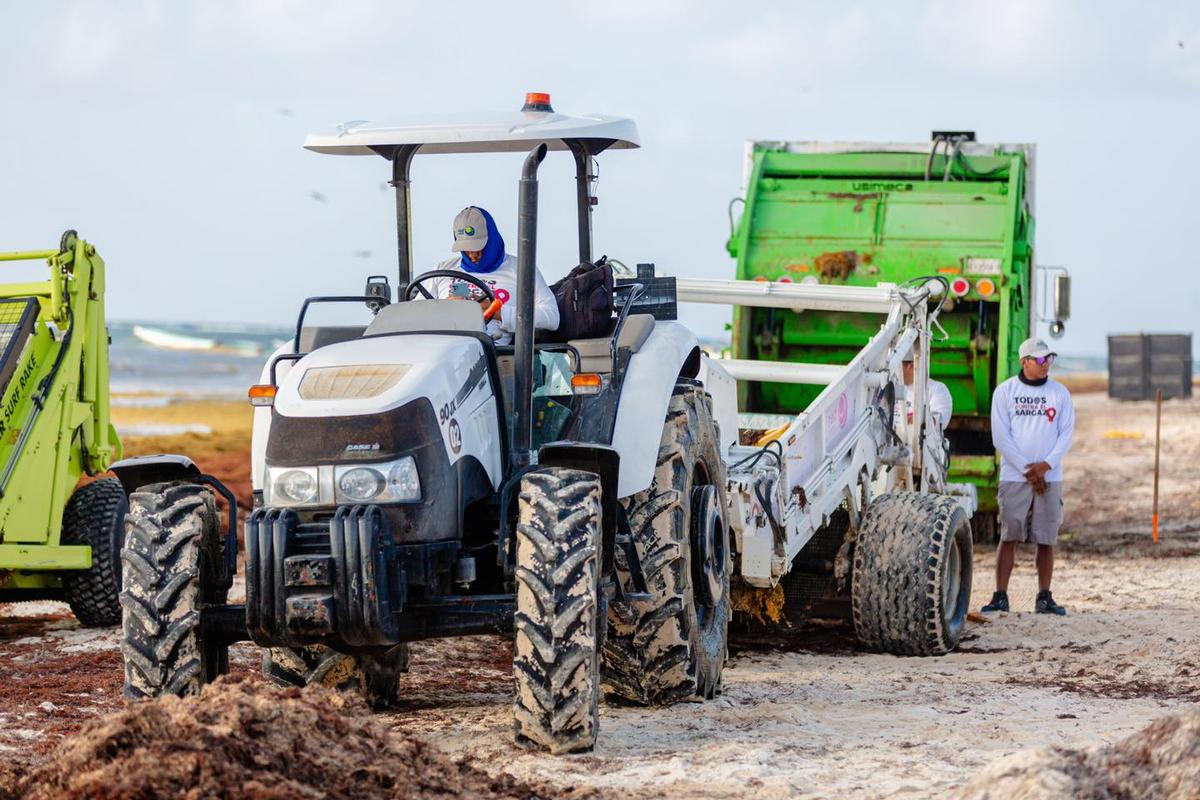 Inside Tulum’s War Against Record Sargassum Invasion Inside Tulum’s War Against Record Sargassum Invasion