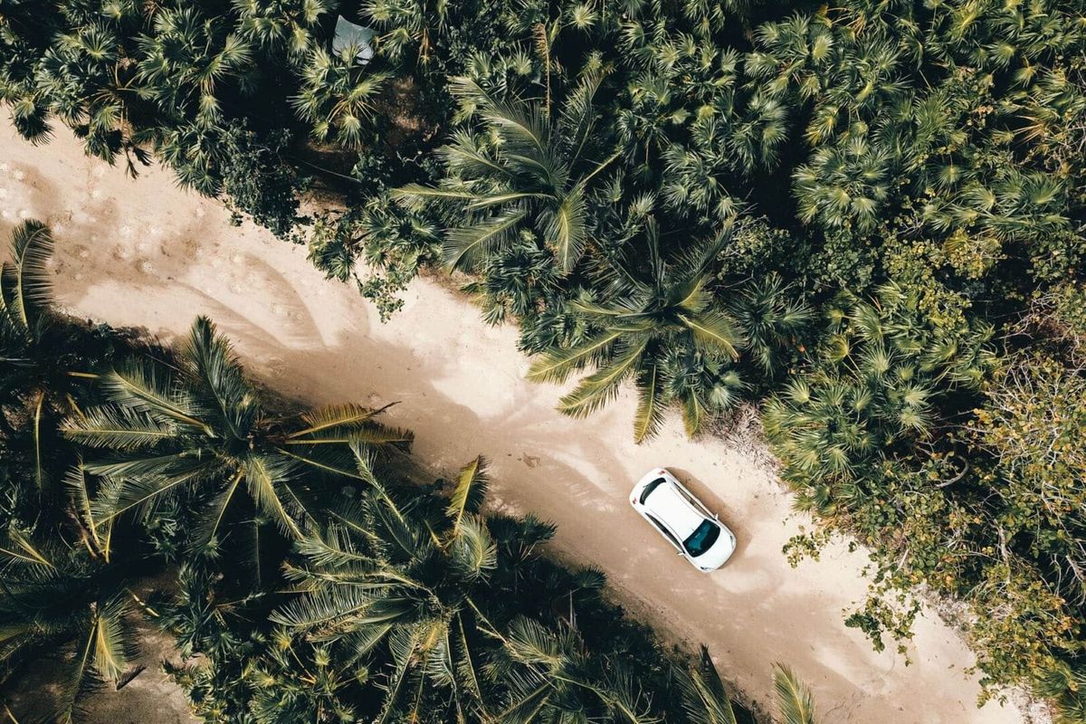 Tulum Safety for Tourists, Walking the Line Between Paradise and Precaution
