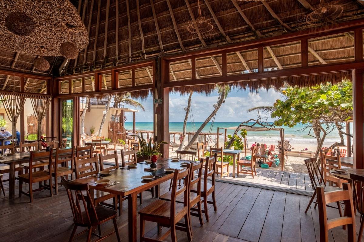 Tulum Hotel Occupancy to Reach 80% This Summer Amid Sargassum Tulum Hotel Occupancy to Reach 80% This Summer Amid Sargassum