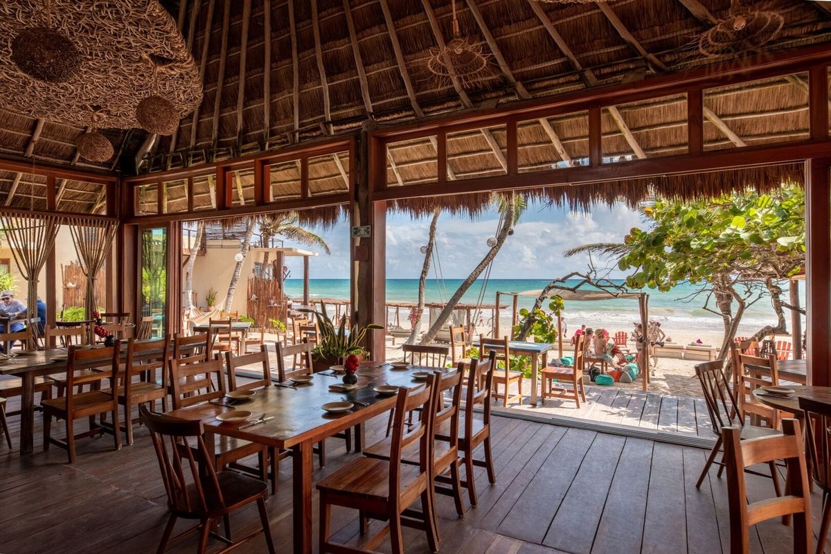 Tulum Hotel Occupancy to Reach 80% This Summer Amid Sargassum