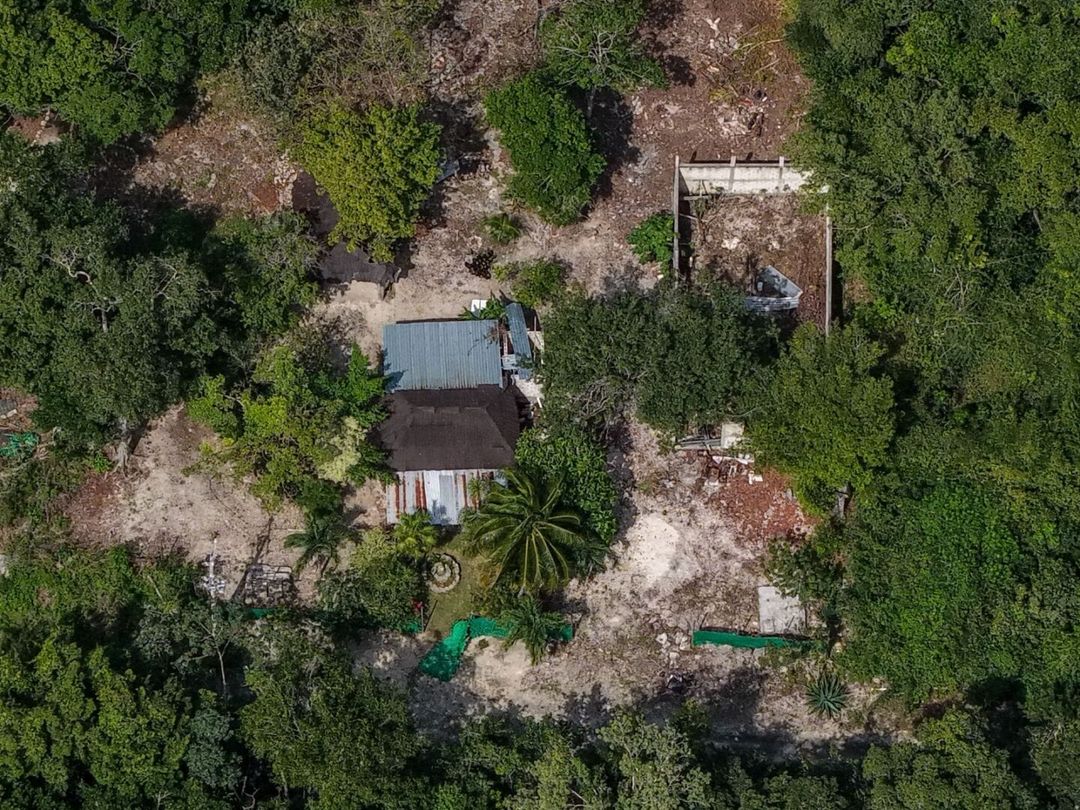 Tulum Water Crisis: Corruption, Contamination & High Fees