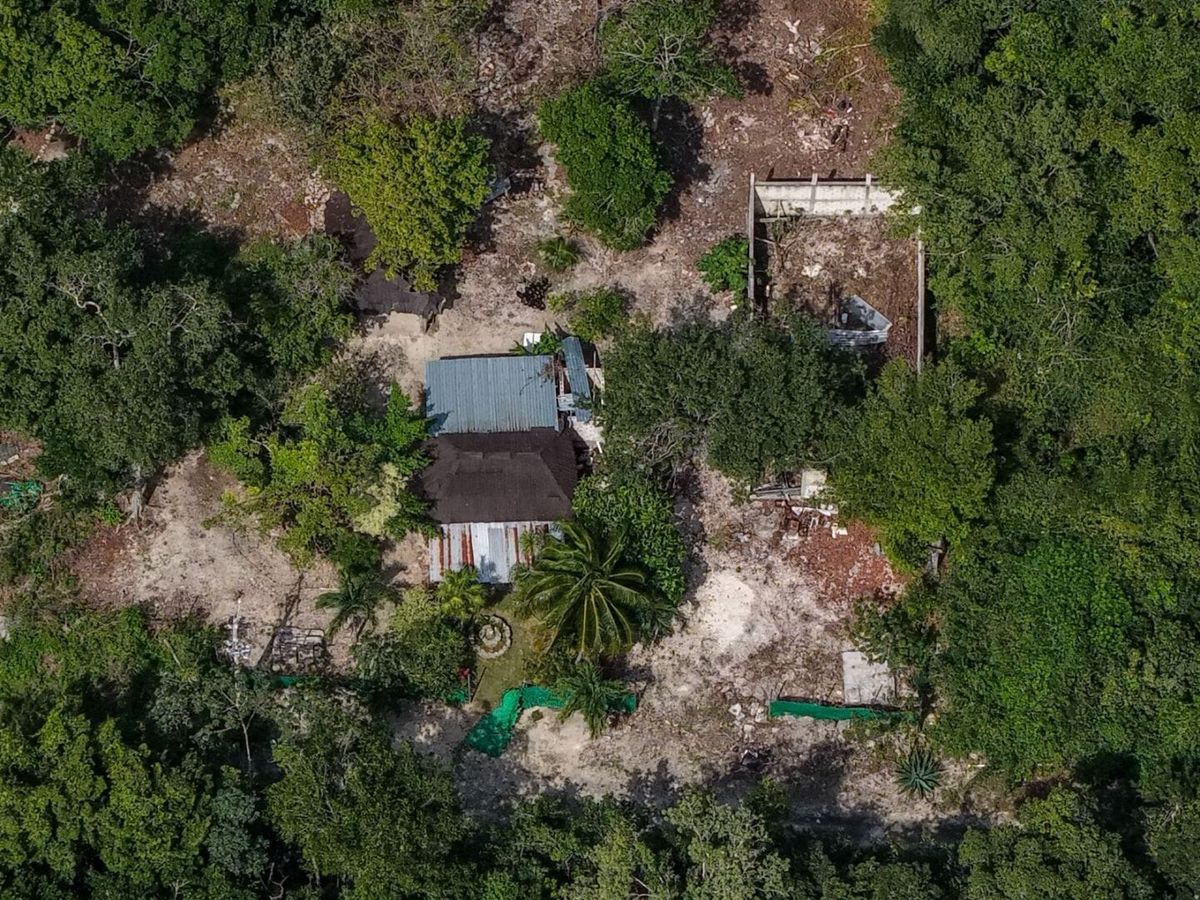 Tulum Water Crisis: Corruption, Contamination & High Fees