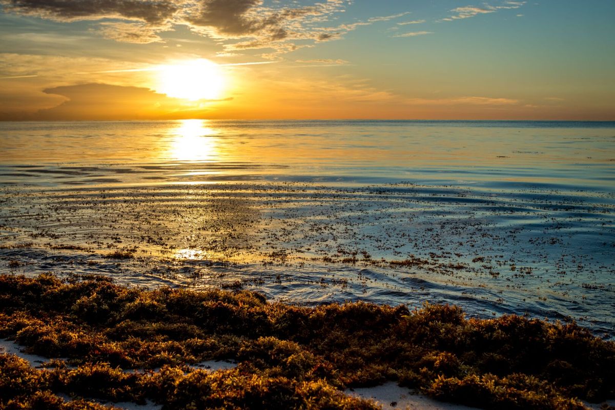 What we forgot about Tulum, and what it never forgot about us