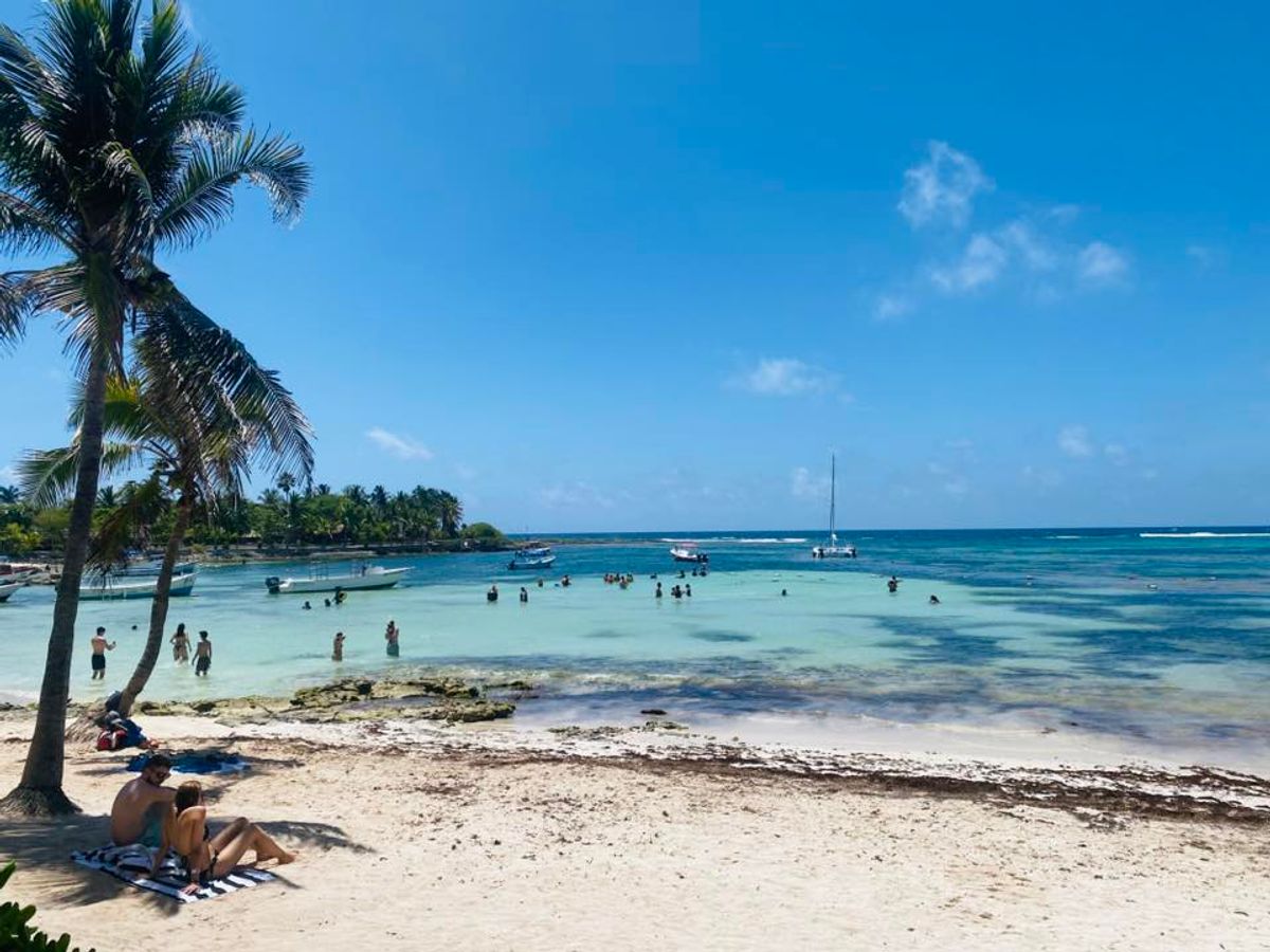 Beaches Free of Sargassum Show Akumal’s Effective Seaweed Strategy