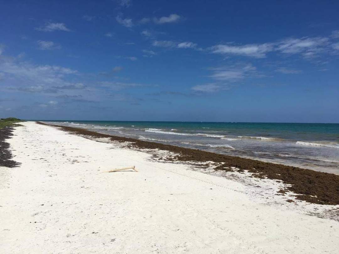 Legal Win Highlights Tulum Property Rights Protection