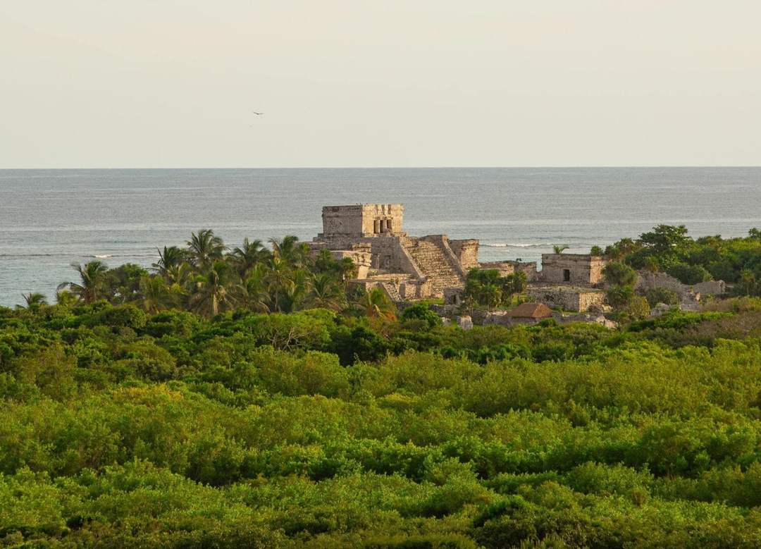 Unlock Free Entry to Parque del Jaguar in Tulum with New Resident ID