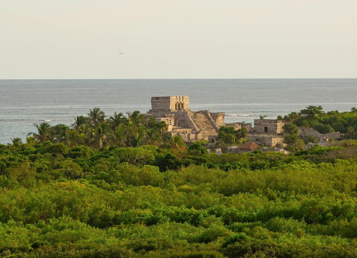 Unlock Free Entry to Parque del Jaguar in Tulum with New Resident ID