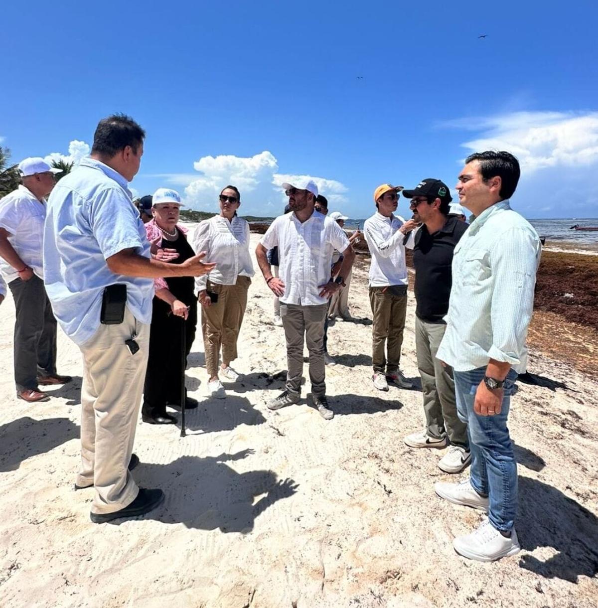 Sargassum Seaweed Influx Prompts New Environmental Strategy Sargassum Seaweed Influx Prompts New Environmental Strategy