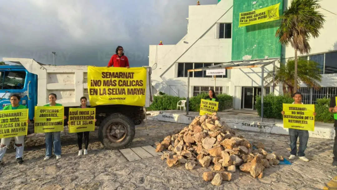 Activists confront SEMARNAT over Maya Jungle deforestation crisis