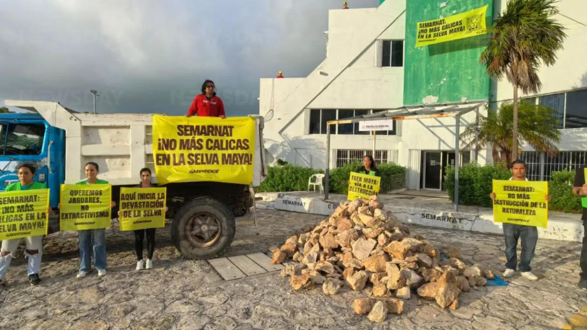 Activists confront SEMARNAT over Maya Jungle deforestation crisis Activists confront SEMARNAT over Maya Jungle deforestation crisis