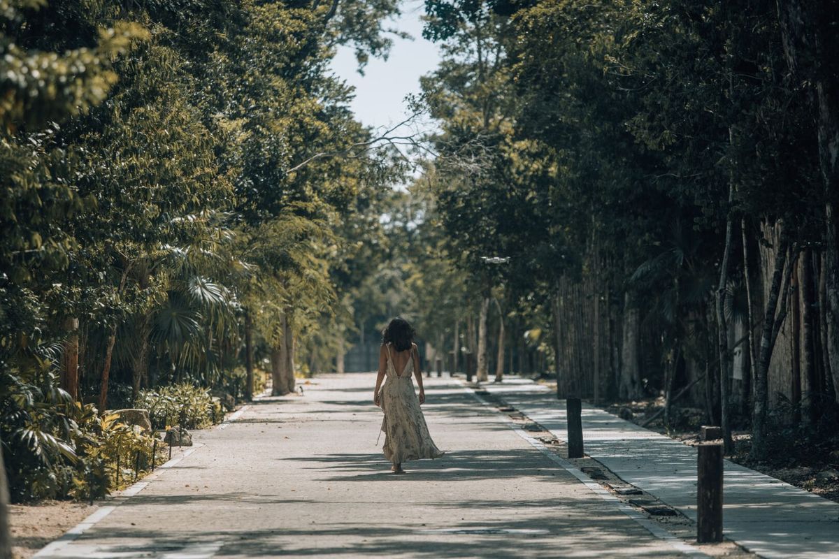 Invest in Titled Residential Lots at Bosque Tulum with Infrastructure