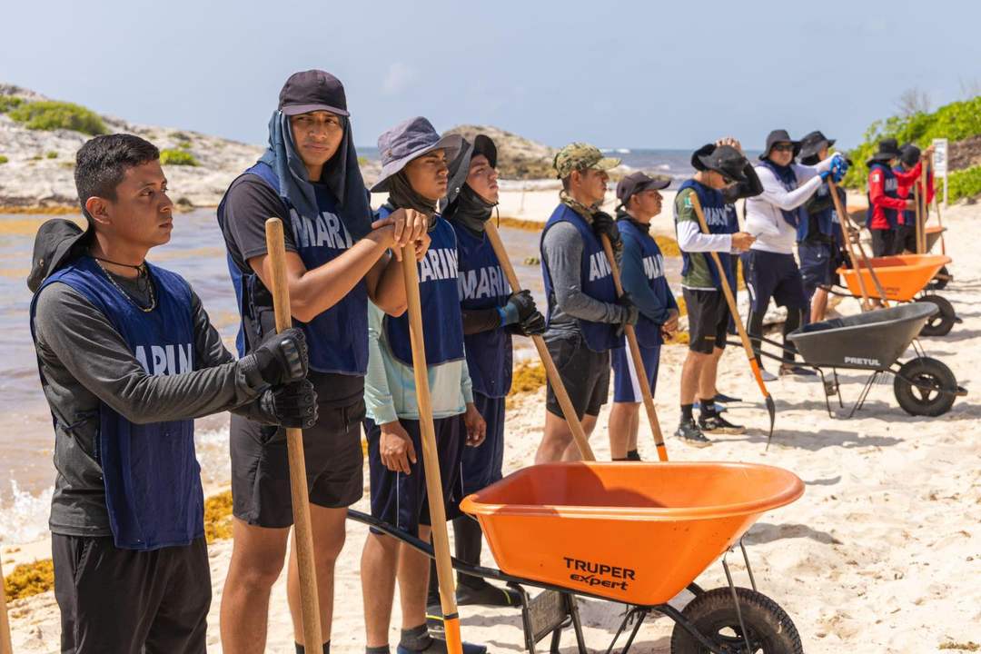 Record-breaking sargassum cleanup efforts intensify on Tulum’s beaches in 2025