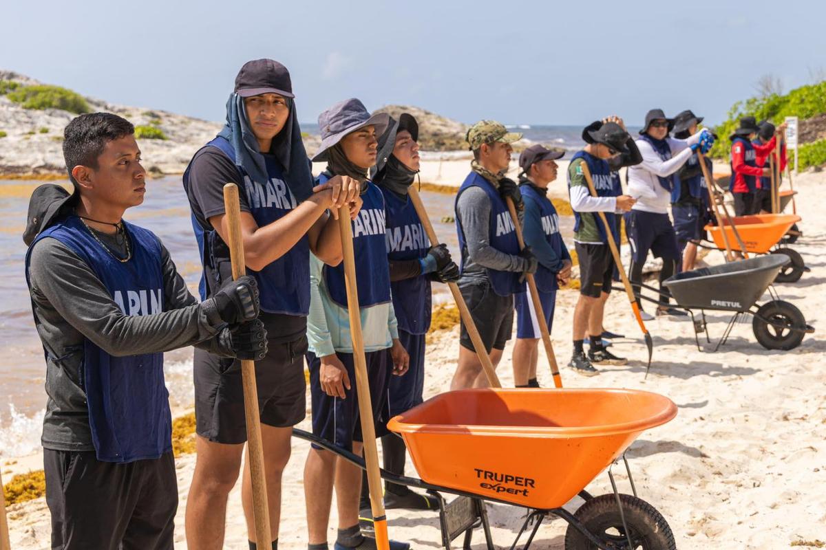 Record-breaking sargassum cleanup efforts intensify on Tulum’s beaches in 2025 Record-breaking sargassum cleanup efforts intensify on Tulum’s beaches in 2025