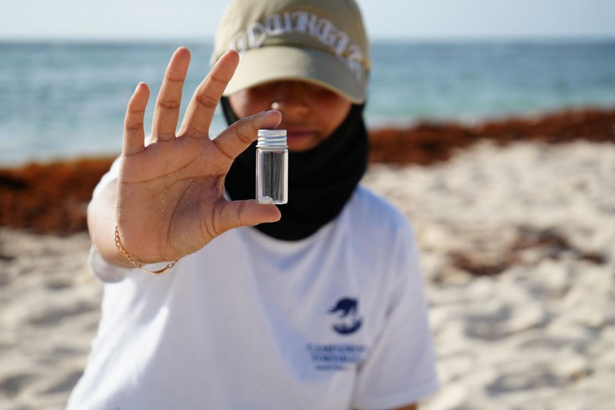 The SAK Program mobilizes volunteers in Tulum to fight plastic pollution and restore the sea The SAK Program mobilizes volunteers in Tulum to fight plastic pollution and restore the sea