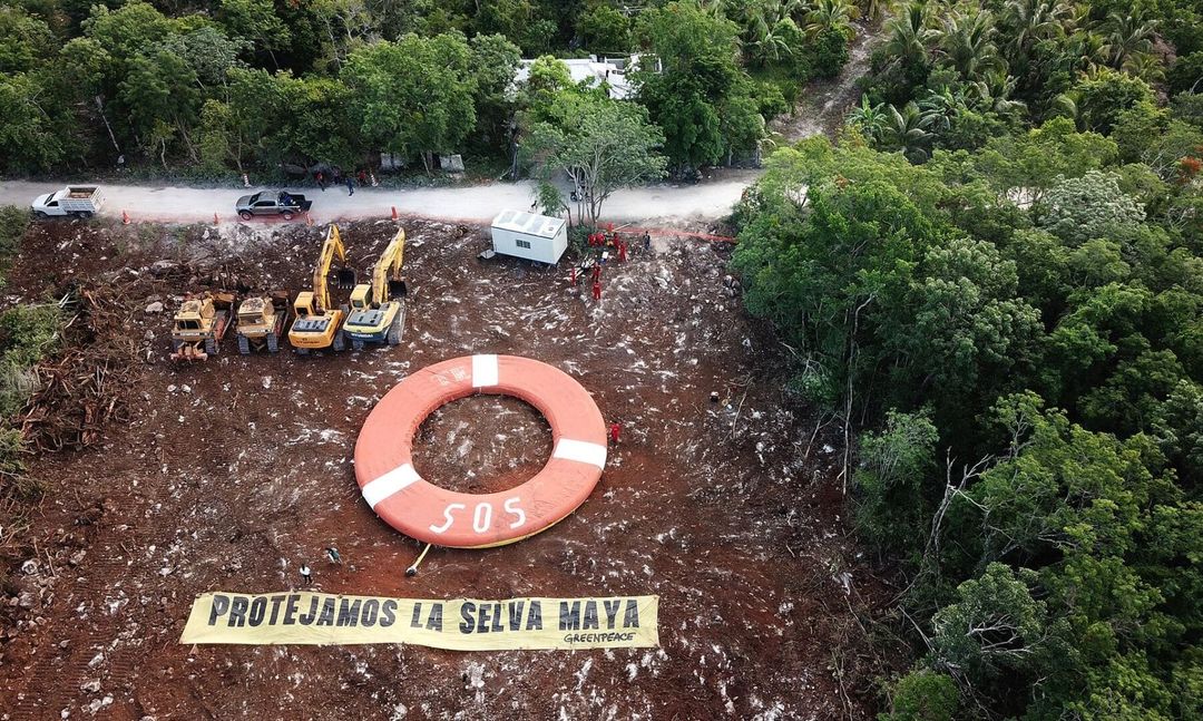 Greenpeace demands government transparency in Tulum environmental controversy Greenpeace demands government transparency in Tulum environmental controversy