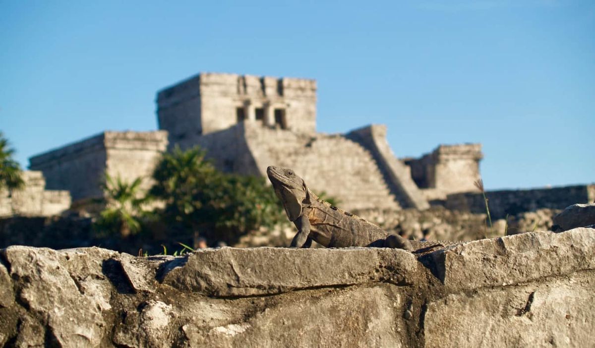 When Stones Speak Louder Than Waves in the Mayan Ruins of Mexico