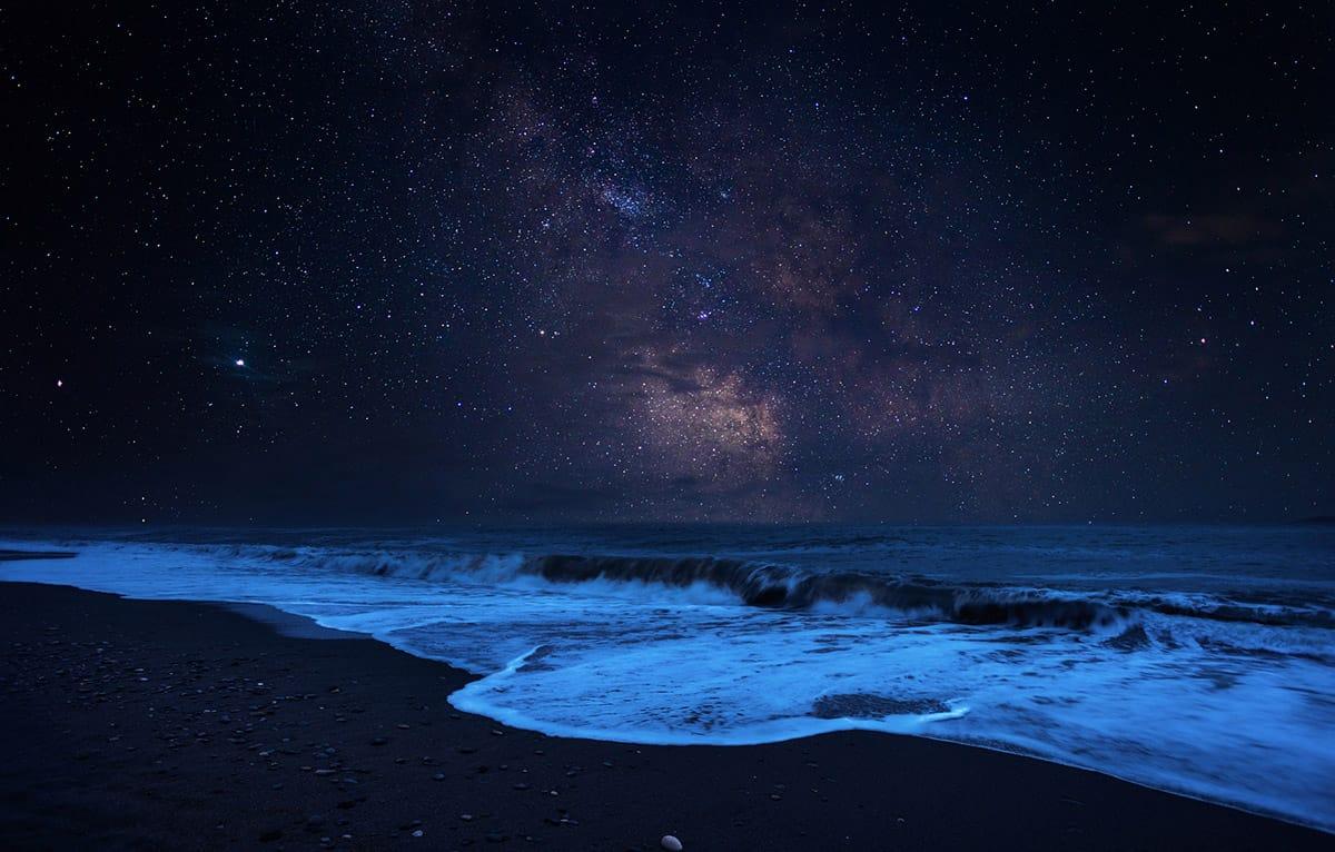 A Tulum Astronomer Fights to Bring Back the Vanishing Night A Tulum Astronomer Fights to Bring Back the Vanishing Night