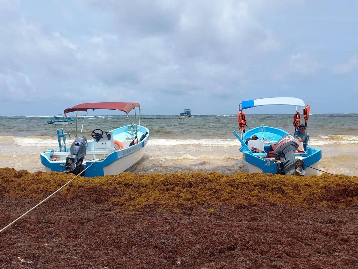 What Happens When Tulum Forgets the Travelers Who Made It Famous What Happens When Tulum Forgets the Travelers Who Made It Famous