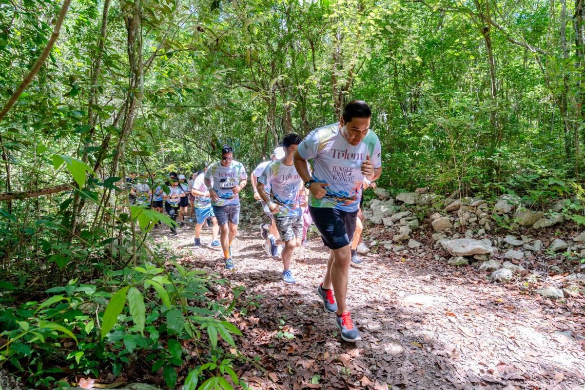 The Jungle Wrote the Route in This Trail Running Dream The Jungle Wrote the Route in This Trail Running Dream