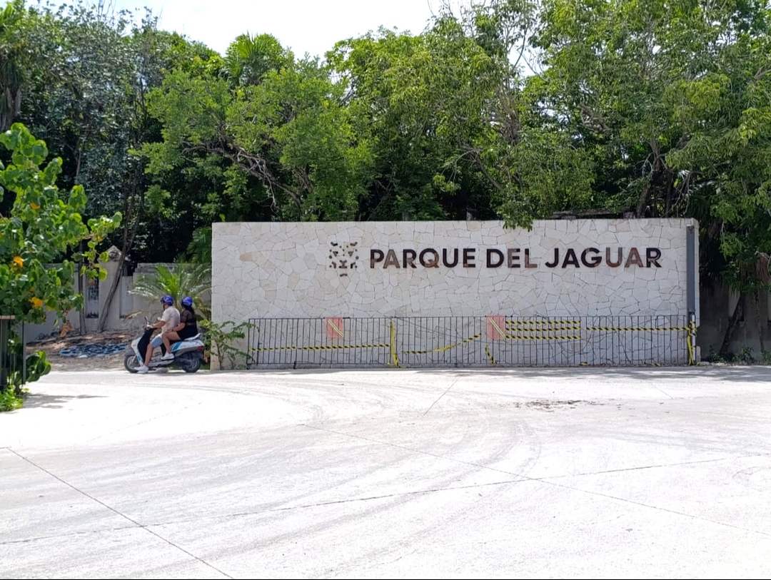 A Fence in the Sand Sparks a War Over Tulum’s Public Lands