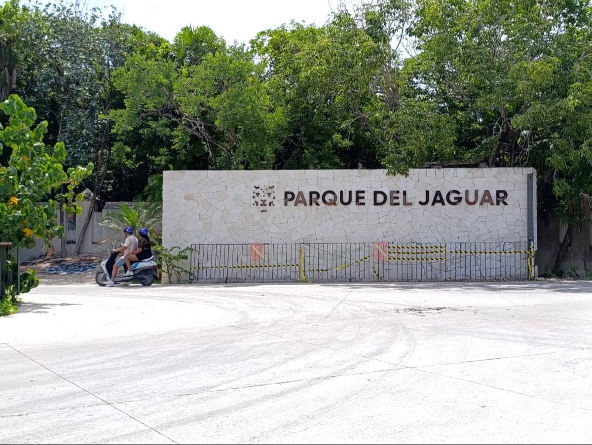 A Fence in the Sand Sparks a War Over Tulum’s Public Lands A Fence in the Sand Sparks a War Over Tulum’s Public Lands