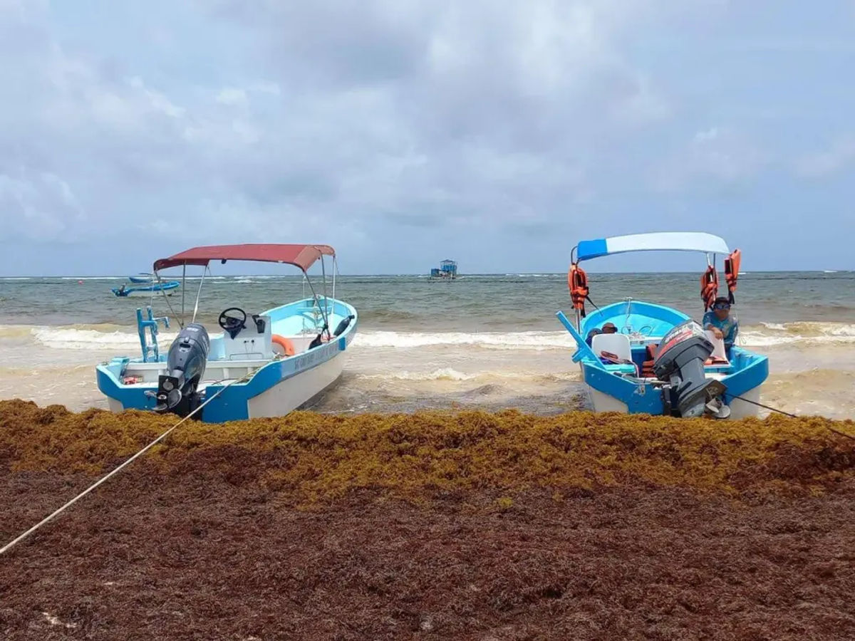 Tulum’s Fishermen Say Parque del Jaguar Is Sinking Their Livelihoods