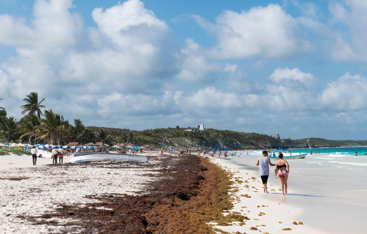 Free Entry to Jaguar Park in Tulum Every Sunday Free Entry to Jaguar Park in Tulum Every Sunday