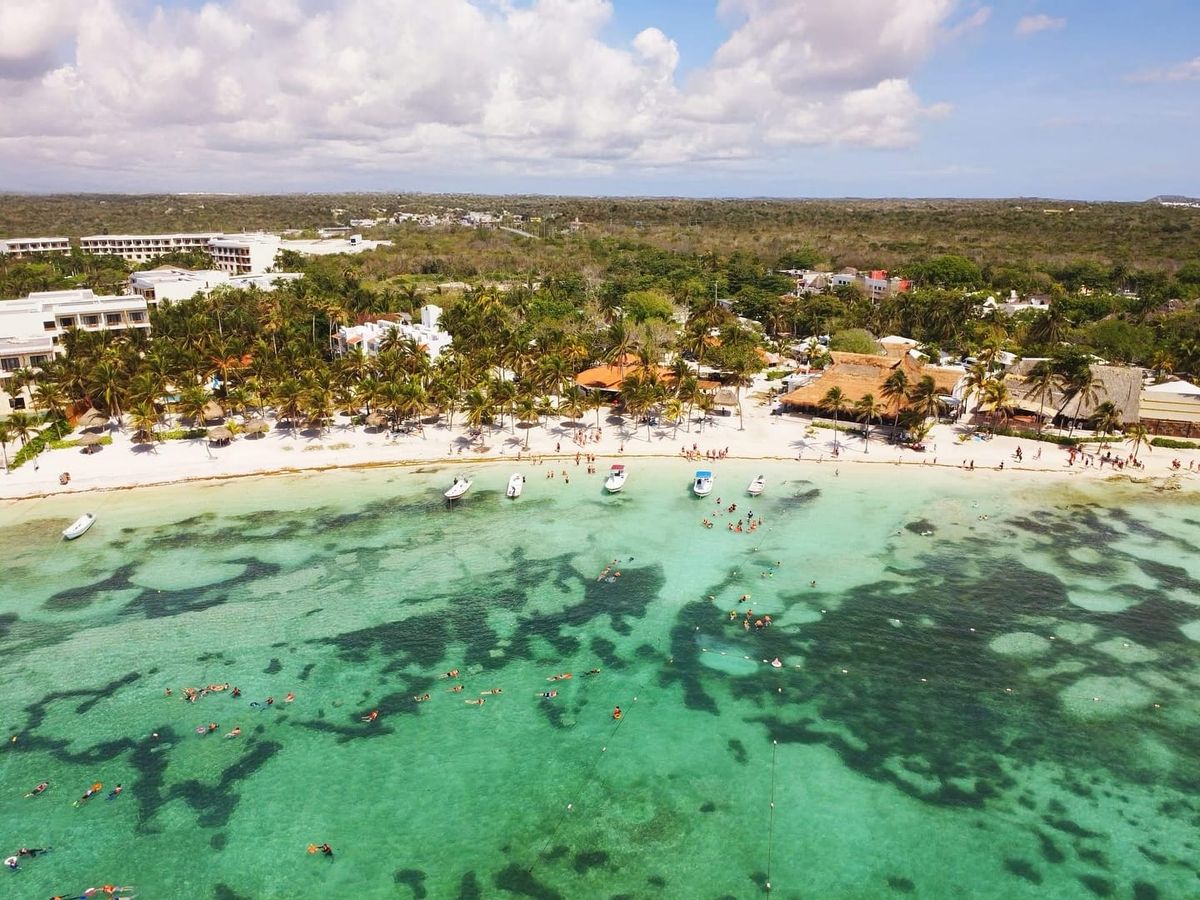 Sargassum Forum in Akumal Seeks Real Solutions for Riviera Maya