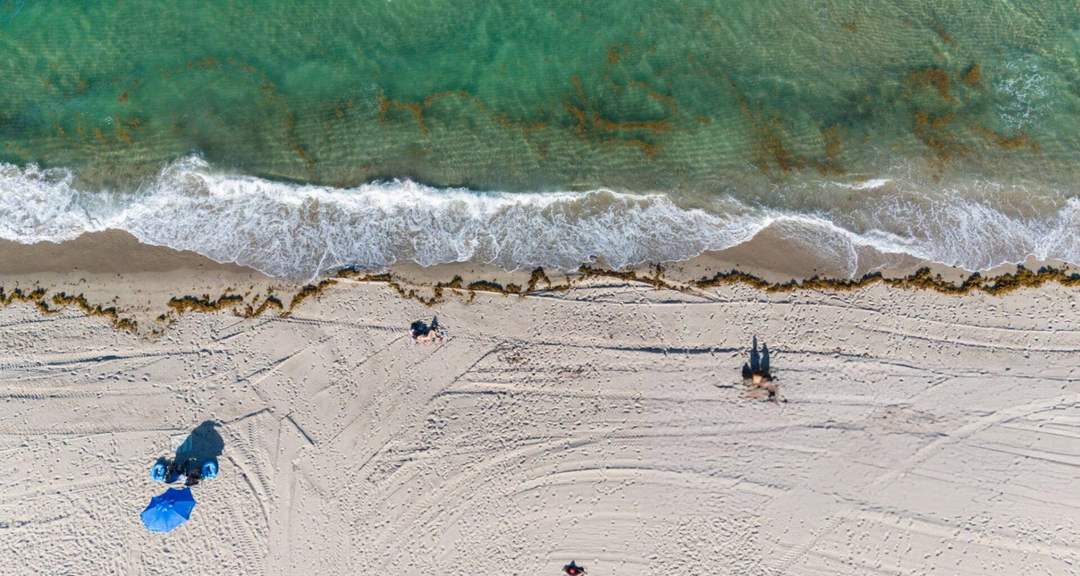 Tulum Beaches See Major Decline in Sargassum This Fall