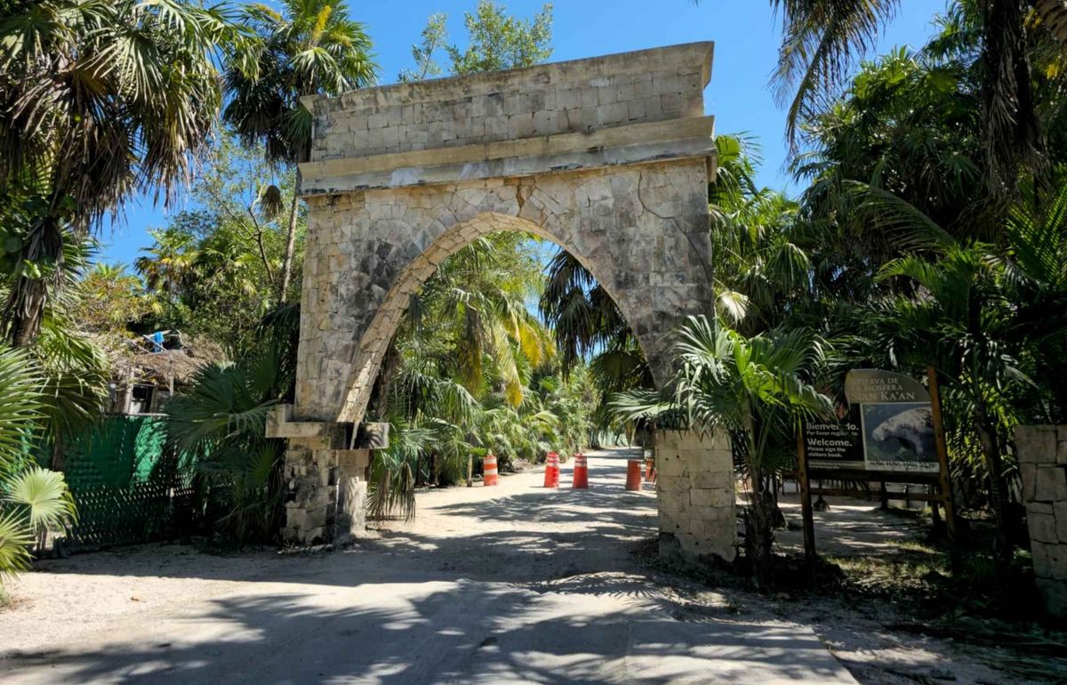 What Happens After the Forest Burns in Mexico’s Most Sacred Jungle?