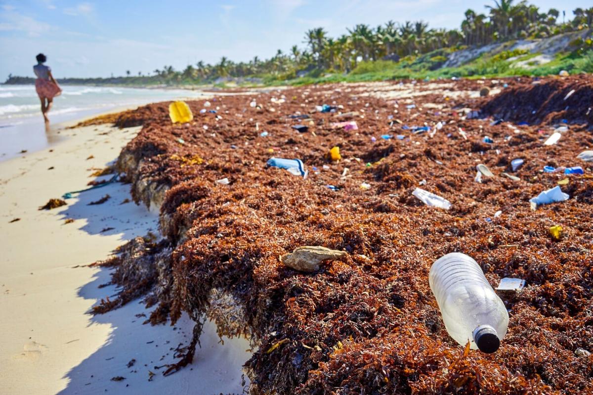 Ghosts in the Sand: The Plastic Waste Tourism Won’t Ignore Ghosts in the Sand: The Plastic Waste Tourism Won’t Ignore