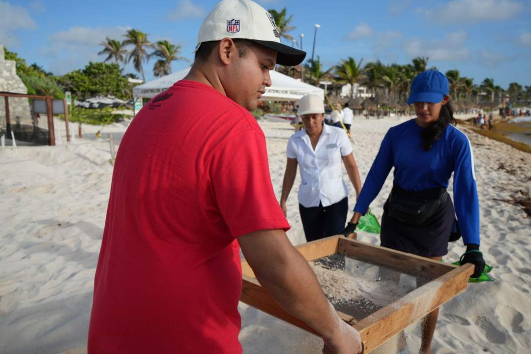 Marine pollution cleanup in Tulum collects over 240 nurdles this summer