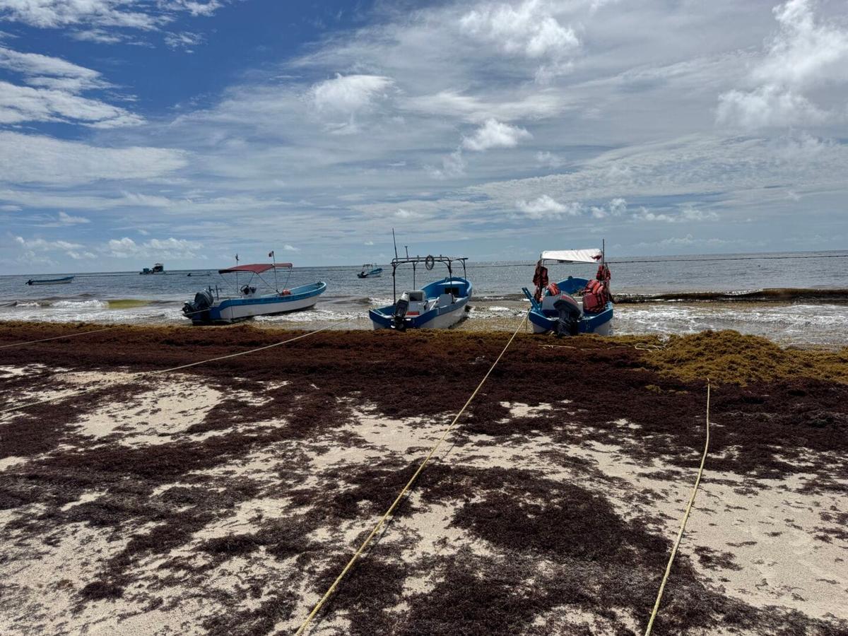 Tulum lancheros struggle as new beach access fees drive away tourists Tulum lancheros struggle as new beach access fees drive away tourists